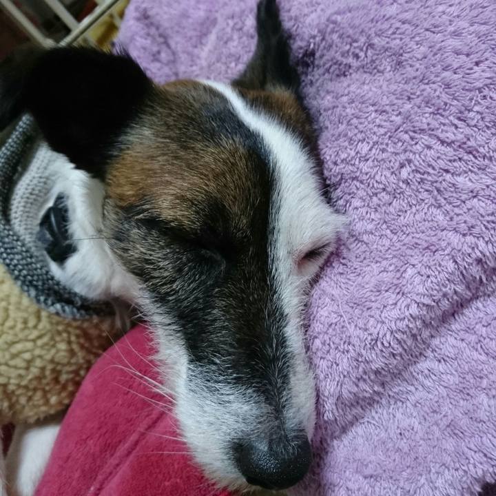 9eb36140 1909 4714 bf8f a67d4e1a5036