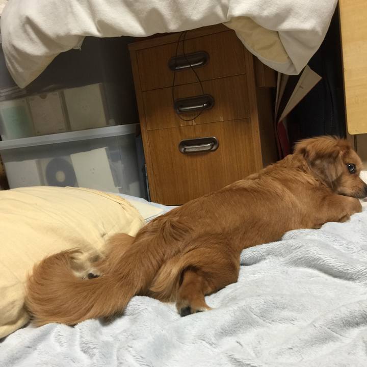 9eb38ec8 512c 4afd 822b a0137028cc30