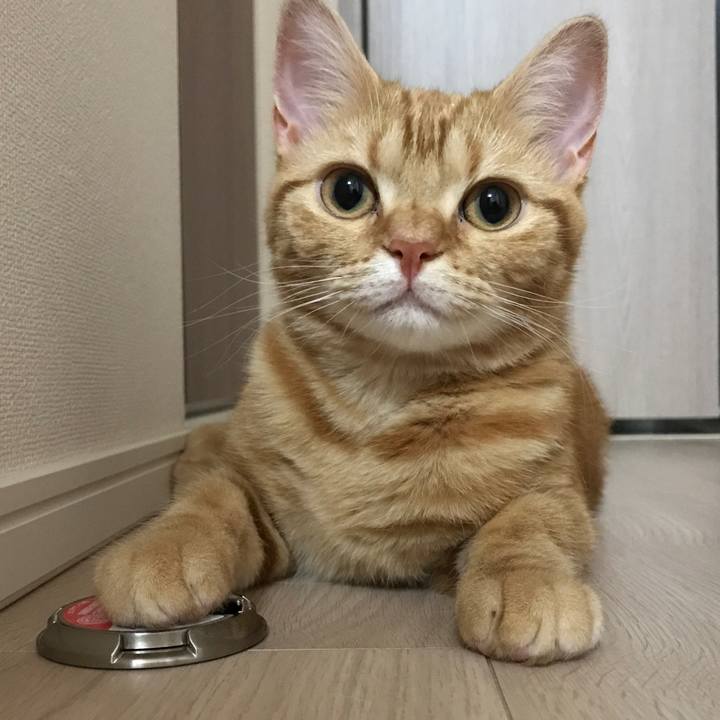 9eb49f64 2a44 4c54 895c d958e144f24d