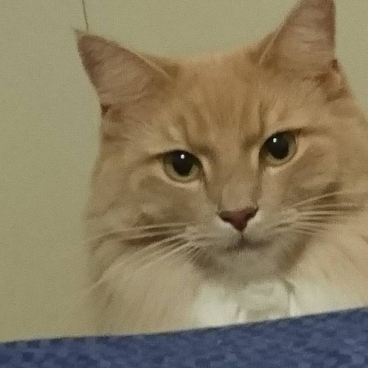 9eb4daed 3410 4482 aa5c d390dc94302b