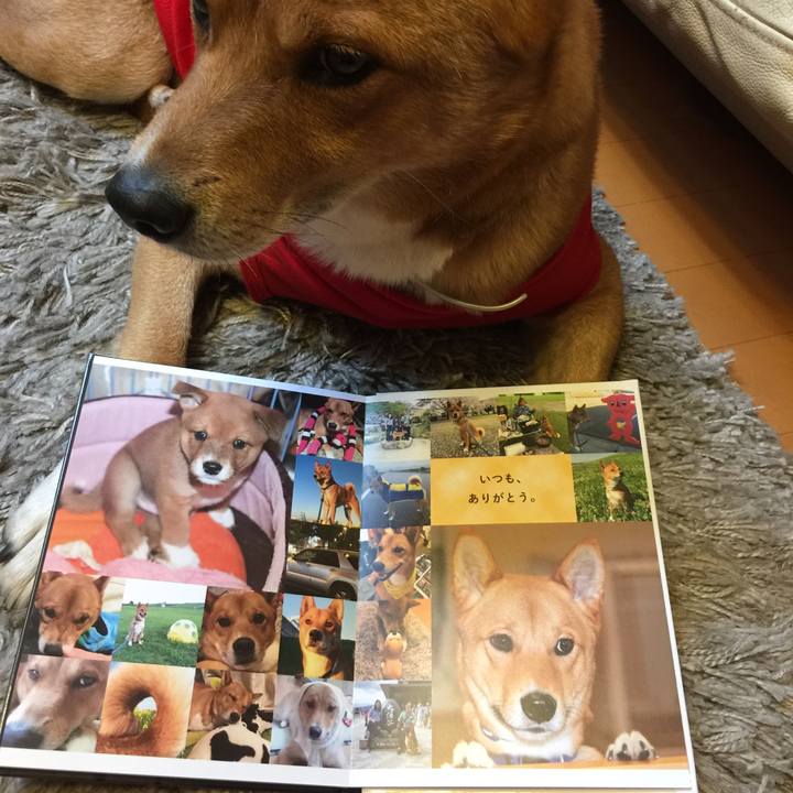 9eb588bd 75d4 4a73 9a4f e702aecfe277