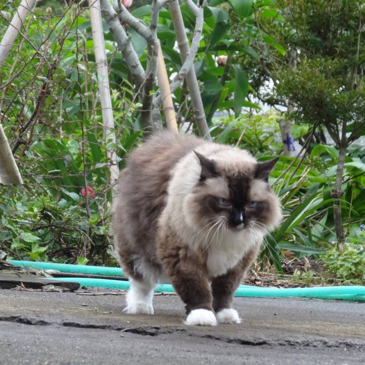 9eb58ecf 74c3 402f 9c0b 387d1215221a