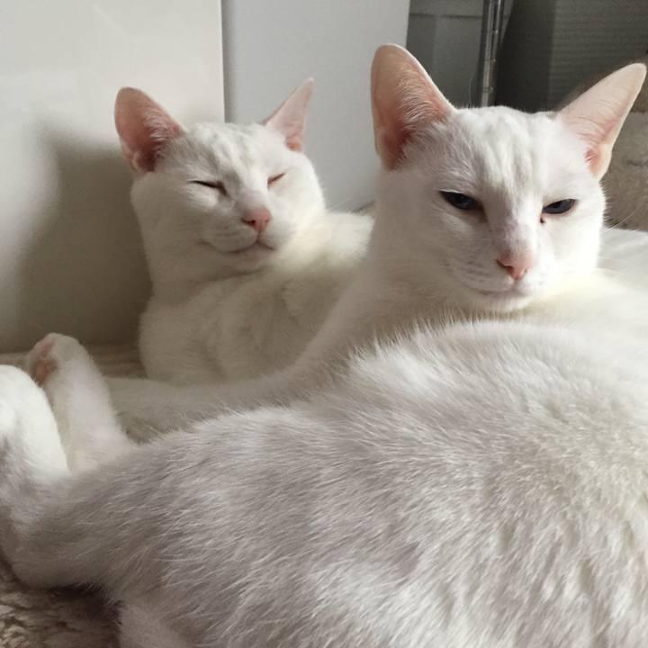 9eb59aa2 7c73 4380 b5d6 ee96e6c6a57c