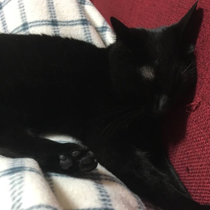 9eb5a2c7 337b 4455 87f1 83a77c7018b3