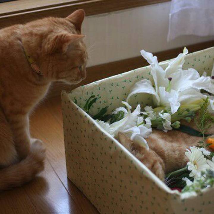 9eb5bbb8 b469 4fc8 8361 d8da41e79b9c