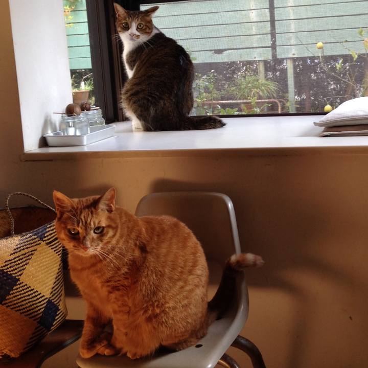 9eb630d6 5b4b 402e 8bf1 edf0ebd0cac5