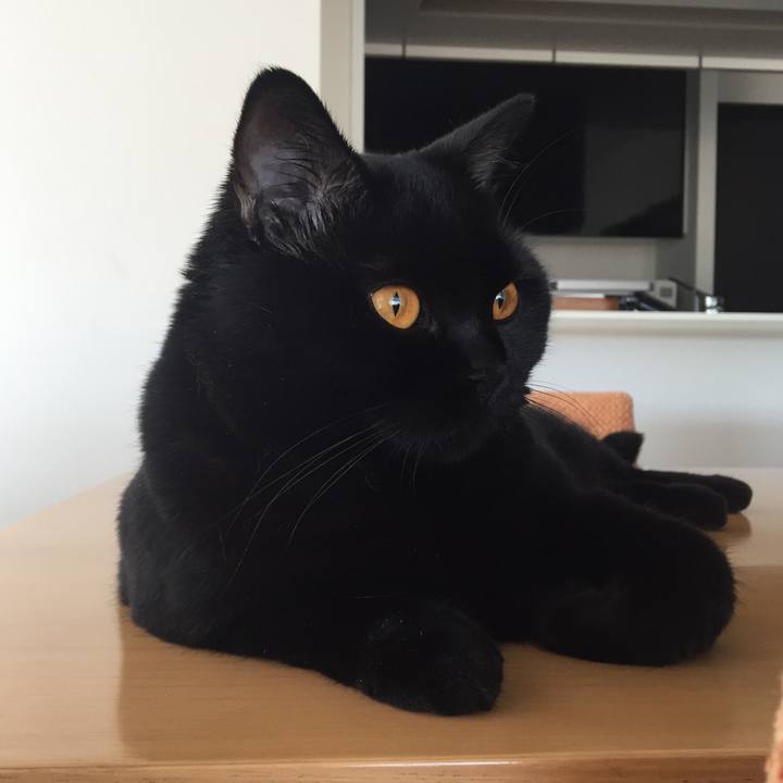 9eb64afc 7135 4295 8636 dab1df981823