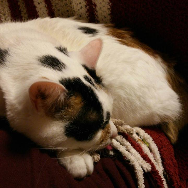 9eb6850d e5b8 4e98 915e 6410a8b6a4c1