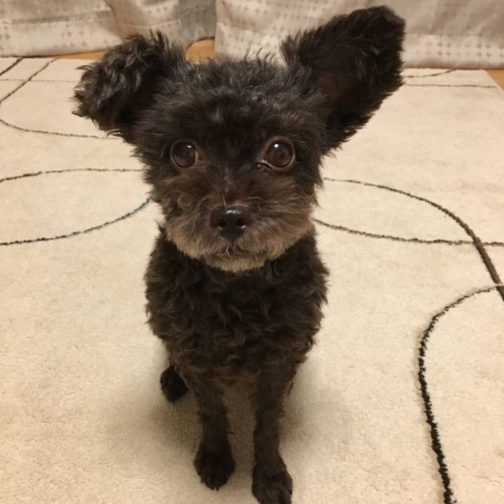 9eb78121 4c30 4804 978a f96741917979