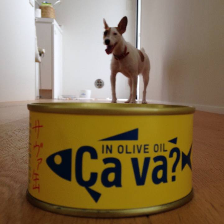 9eb78520 2b55 4b1c 8370 18aaaf5983c4