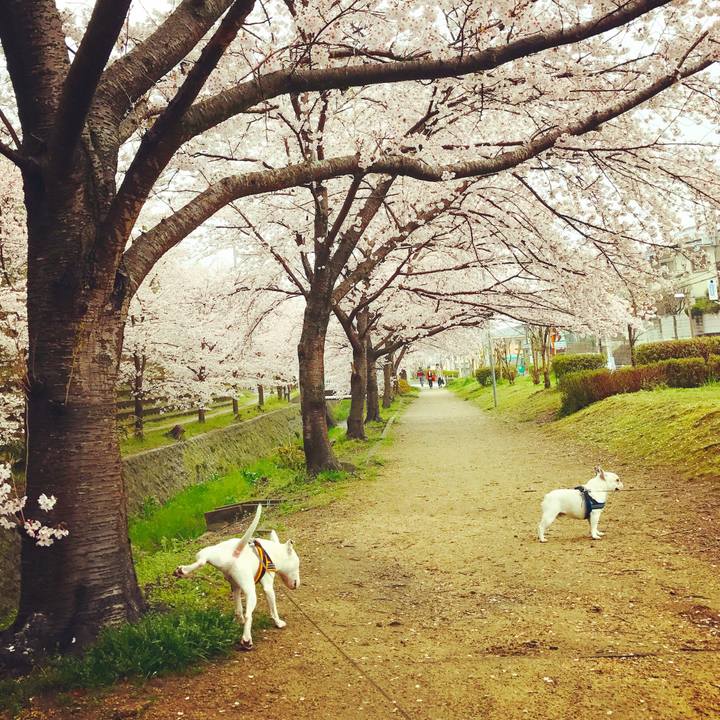 9eb7877a 94f7 49b0 b714 0259bb85d93a