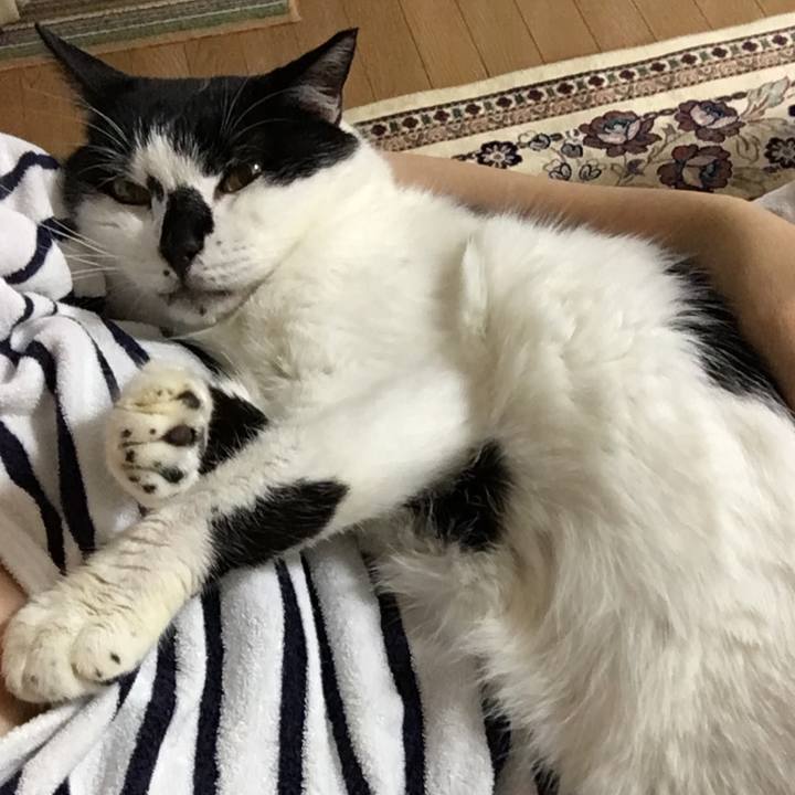 9eb7c5a1 dc63 4484 87fe a2ff70c959ee