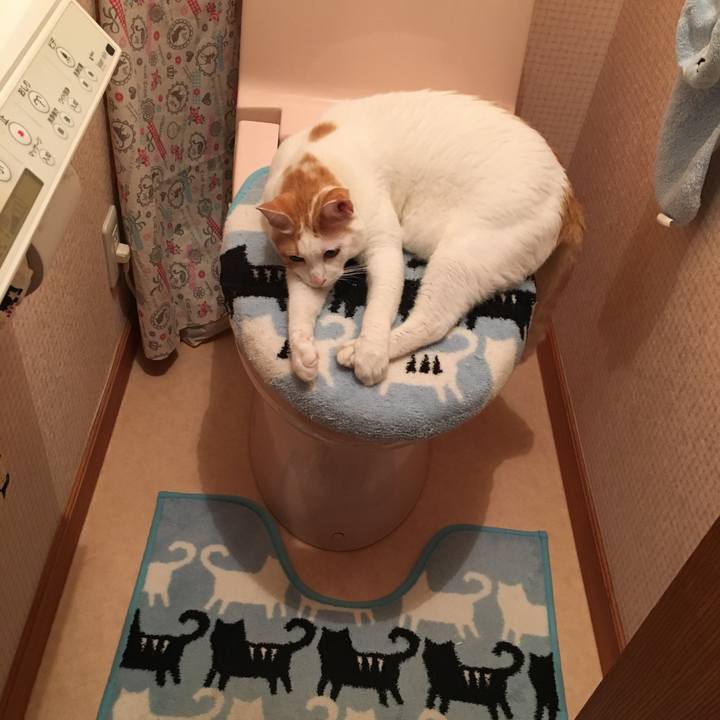 9eb84842 a96b 429b ae1c 8cdbcccd4b15