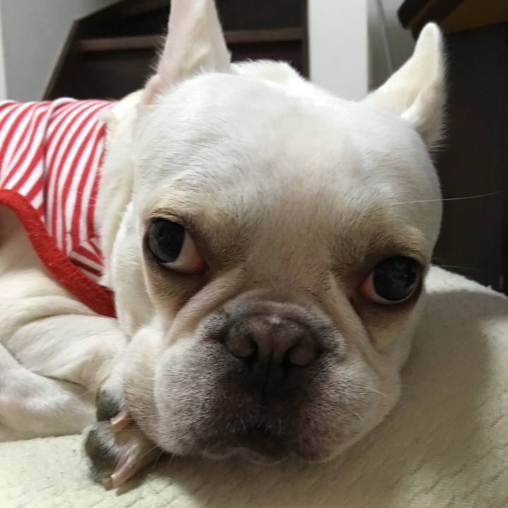 9eb854bc 5fdc 4409 9227 2690fd14e4f2