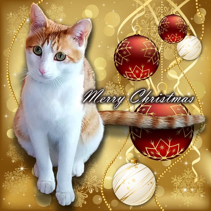 9eb857d0 aeae 45a6 9624 b59d8f0e8e64