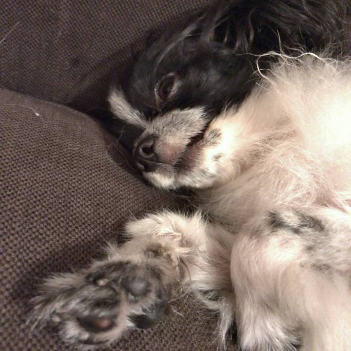 9eb899f7 fe49 4c05 8140 dce32f8bdfa4