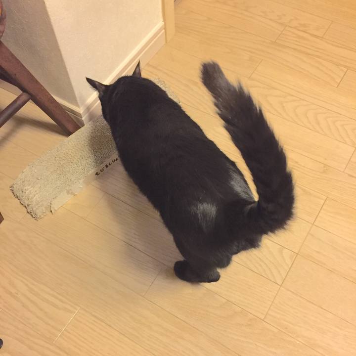 9eb8d0c7 9503 4e5a 8c90 c94e0d1497d7