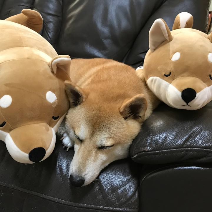 9eb8ed00 7fd5 4584 ae0c 626cdae6b664