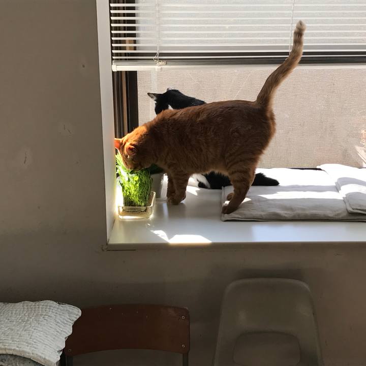 9eb9fcc2 9936 44a7 86b9 3d638cbb06da