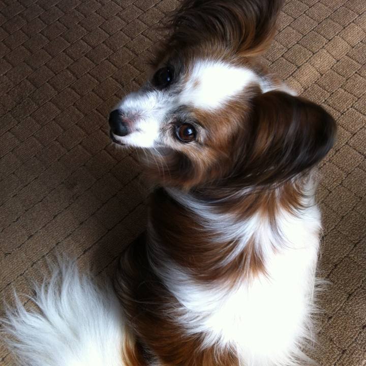 9eba50ba 250d 4f59 8fc1 8c6857390115