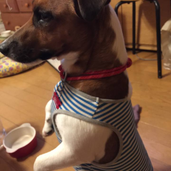 9eba536a 81a5 42da a9bb c9316b1fb2e9