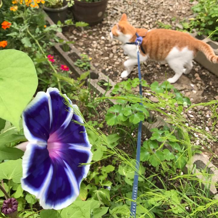 9ebaca84 b65c 4301 9007 c69a34b6c7ee