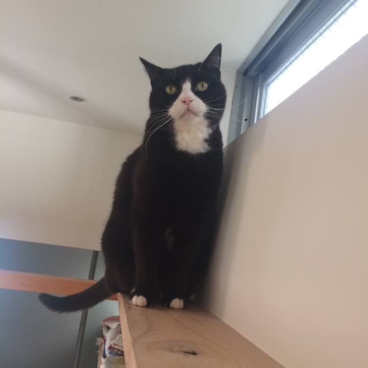 9ebacb96 3a93 400c a149 bdbcebeed88f