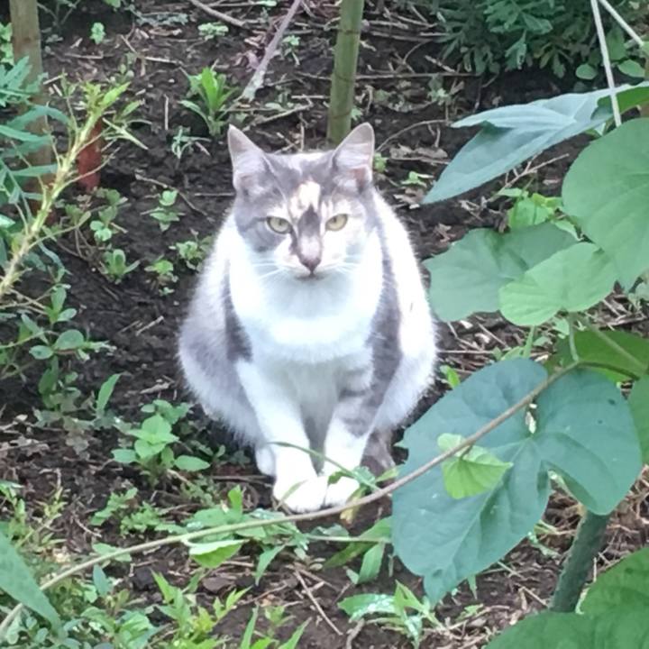 9ebacc7f 5126 468f 9ba8 c1e46e91fae7