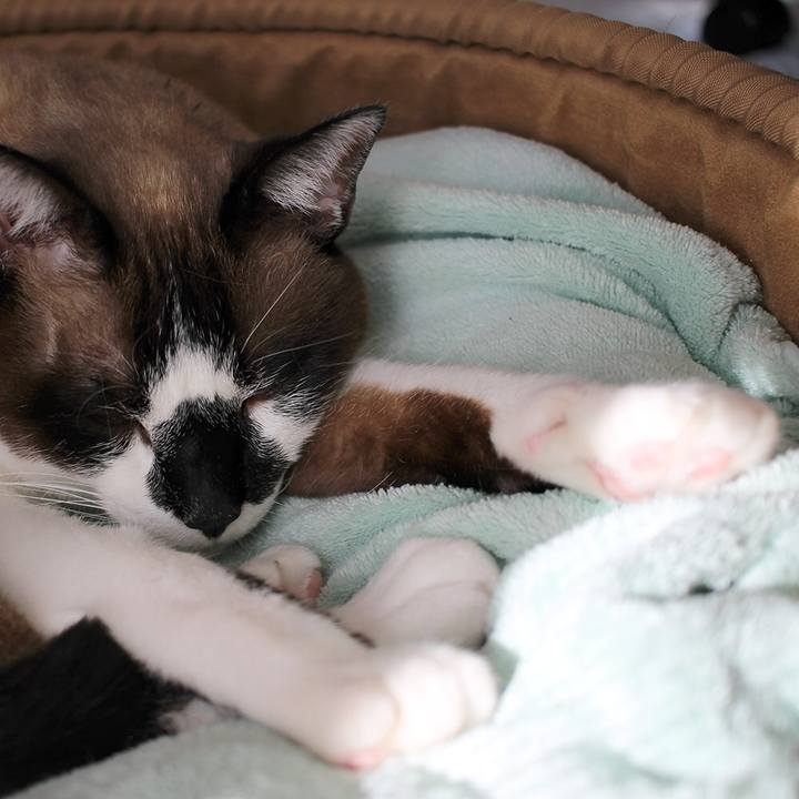 9ebc6c3c ec37 474c bb92 7758e1fa64b7