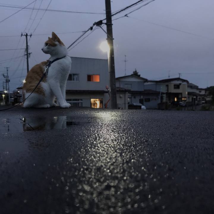 9ebcc9ae 837d 4245 a6c4 355a1fb4649f