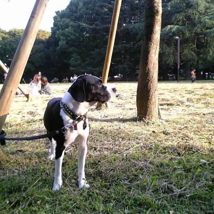 9ebcf448 ce88 4d3e b018 d317eb8a7c51