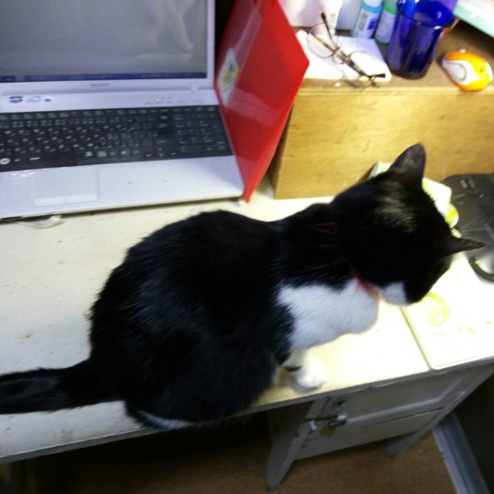 9ebd03b7 c5d9 4cd7 a1e9 291fde14b588