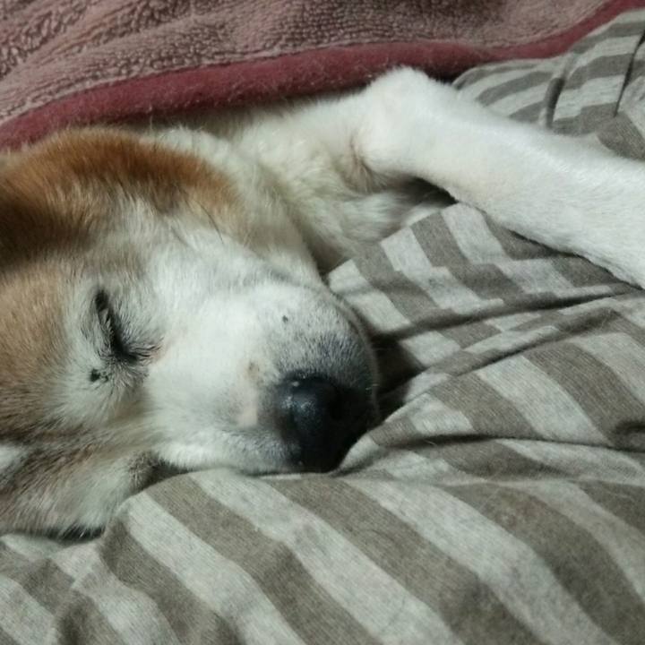 9ebd0497 f2b9 4b32 ad79 0a21e71c086b