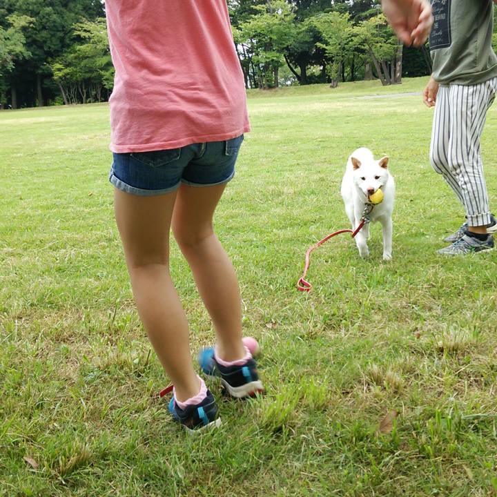 9ebddeb9 0b30 4050 8feb 64d646dcc9d0