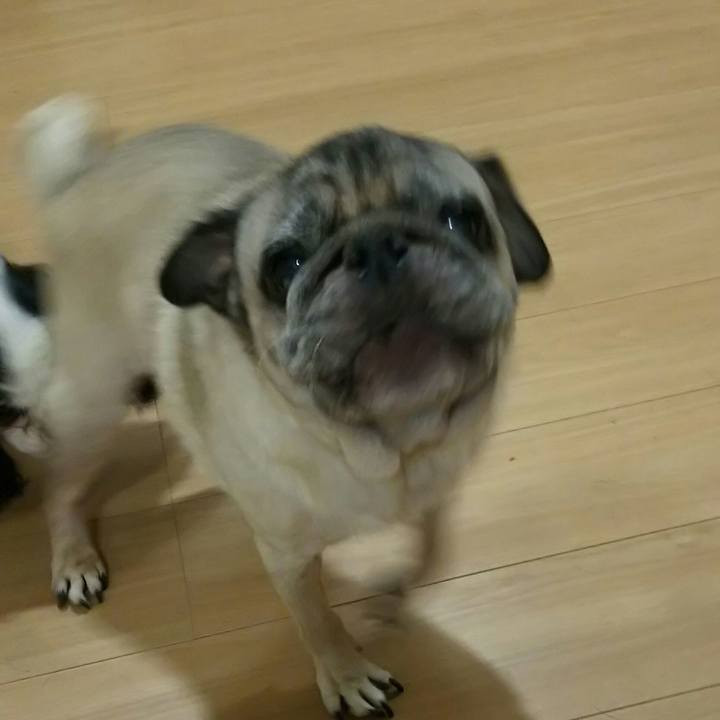 9ebe1ca1 0ad3 4d5e 885b f64bf3e8e00c