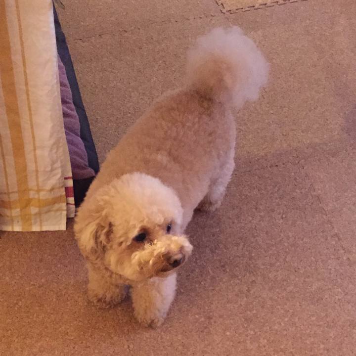 9ebf789e 8f90 43af 94e0 45a8649e144a