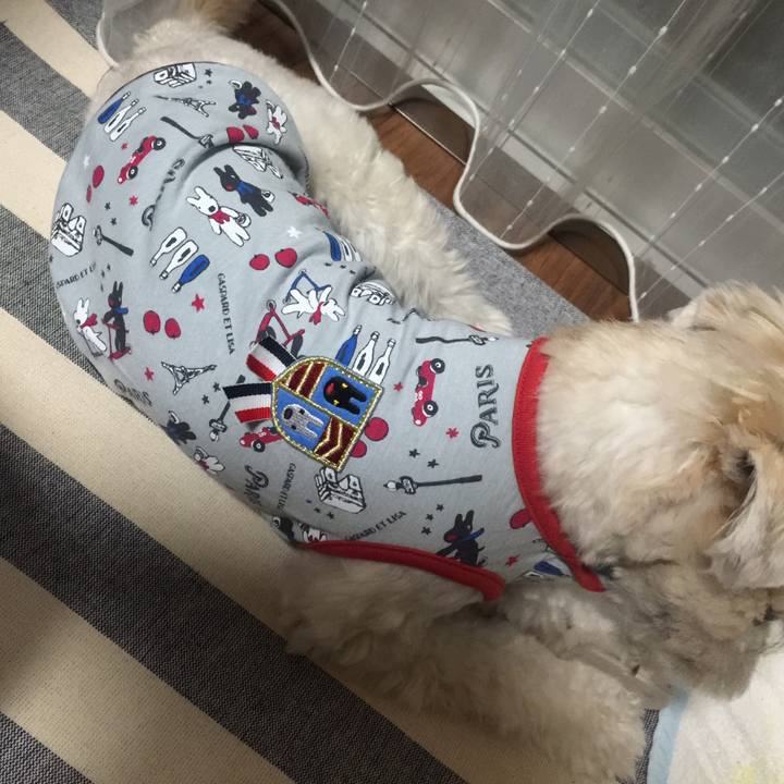 9ebfb310 f9d2 4117 a7f0 aef4e3fc99a4