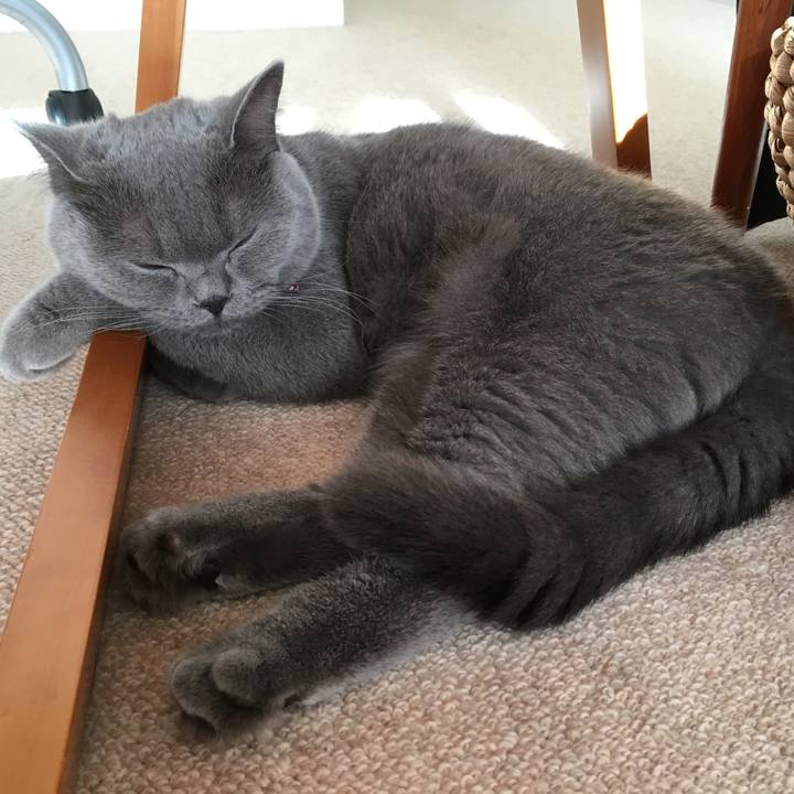 9ec0246b c2c5 4ef3 ab0c c04460501ecb