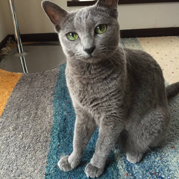 9ec062dc 98ec 48da 84ea fb7f7e1ed0d8