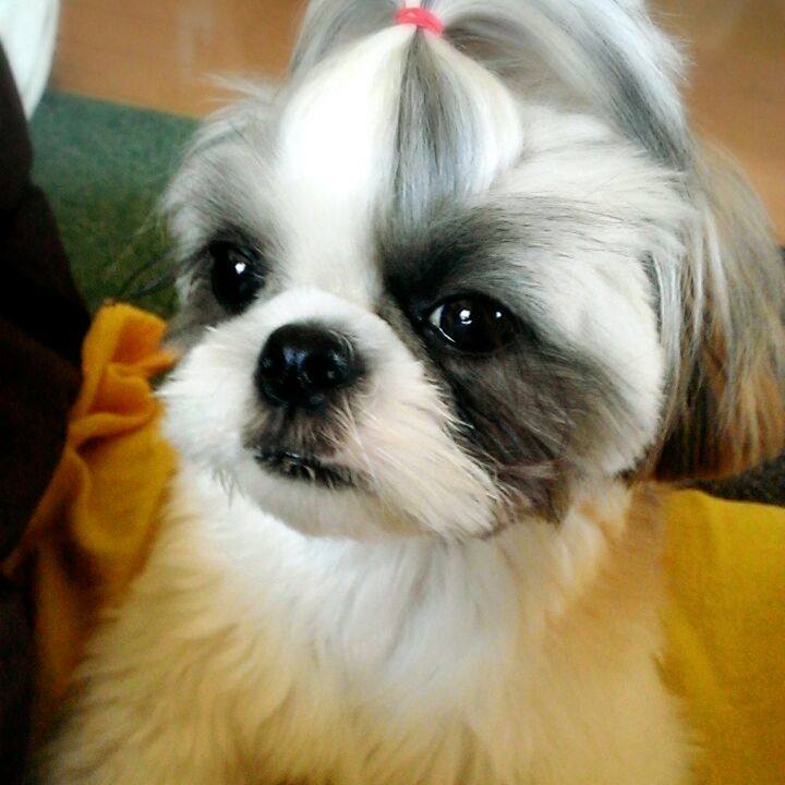 9ec0bcc8 e08b 4260 ba13 30e07436f0a3