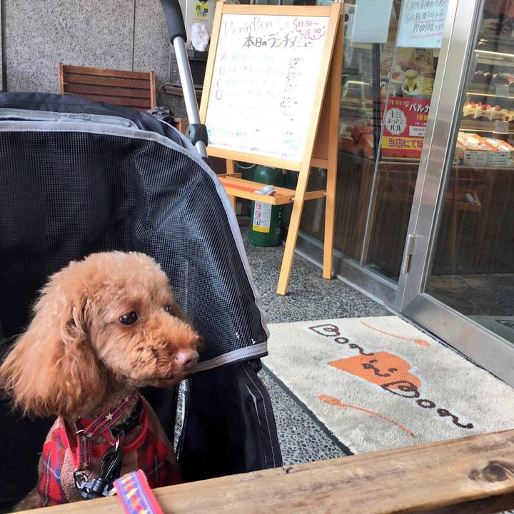 9ec0dc86 ed9e 4b7e 9d6c fcbb511c353d