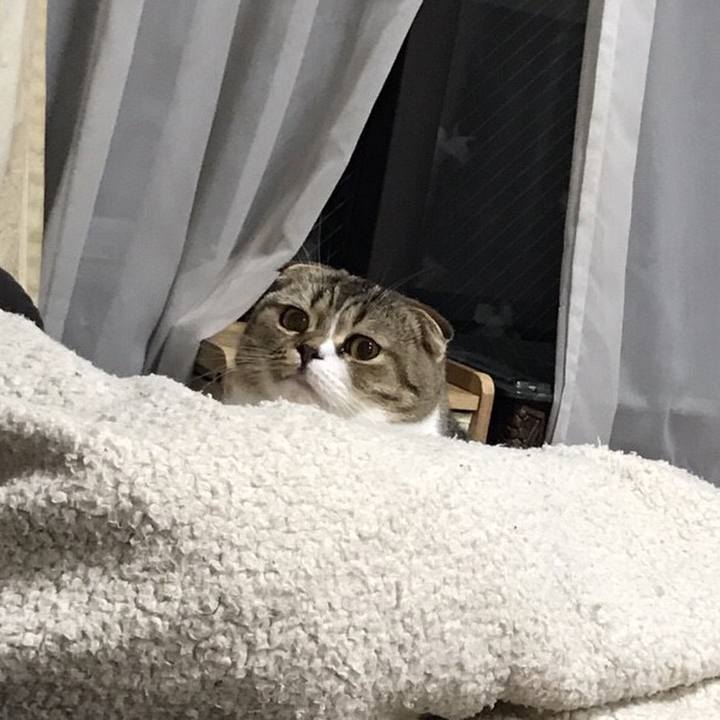 9ec1dea3 d78e 40e4 a032 9bdcec4d7362