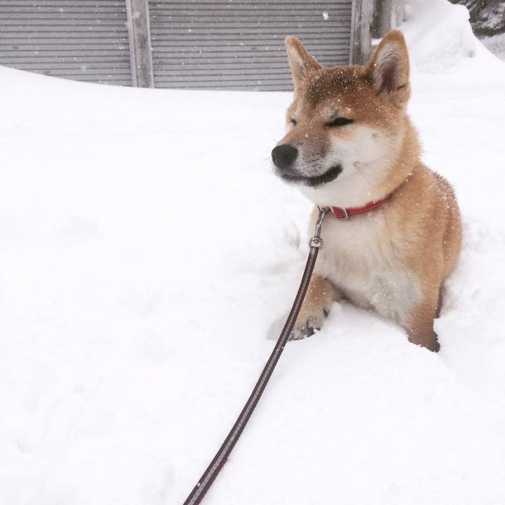 9ec1e174 4a58 468d 9f04 9ee372d3ee7e