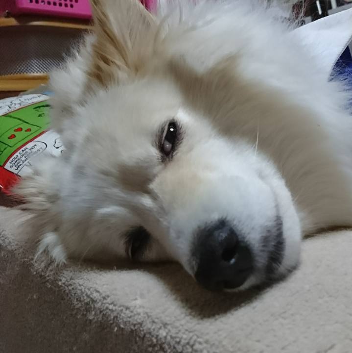 9ec29c3e 6a5f 43bc 96eb 682a34791ffd