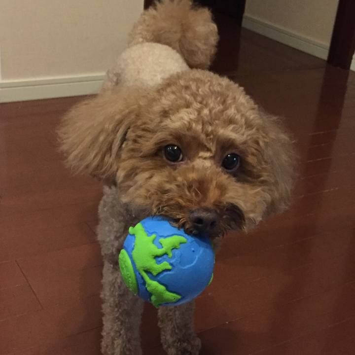 9ec3e8a8 cb5b 4657 b82e e29f4dfc9a8d