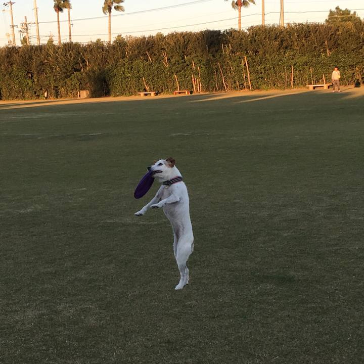 9ec41314 b128 4eb3 a4a7 f27caa088f6c