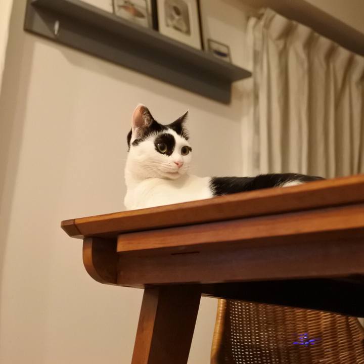 9ec41ad0 879d 4e66 89dc 0c9f7adbb3a2