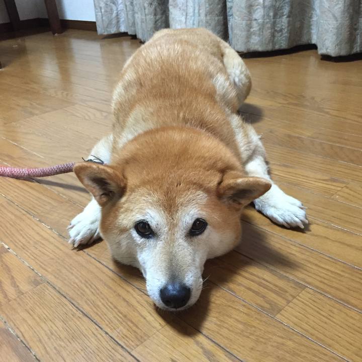 9ec4a897 e3ea 4a7f a905 8f37a9840a46