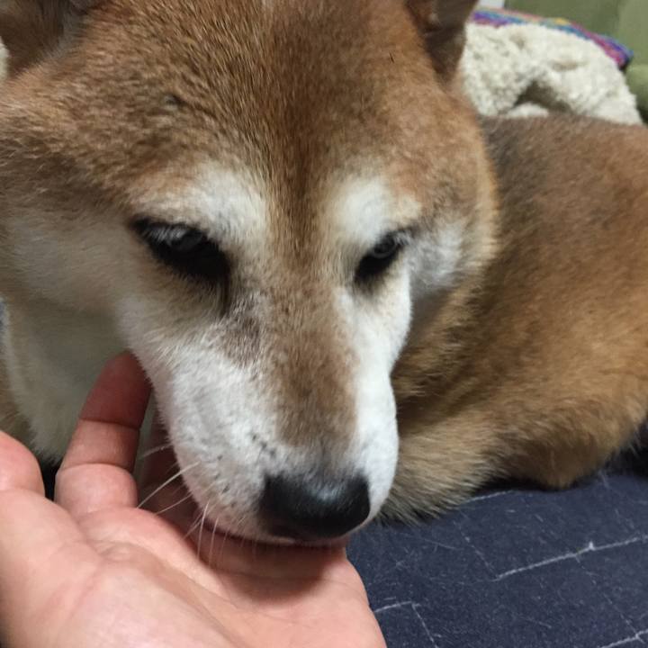 9ec4bacf 3129 49c2 b1ac 9ff115404740