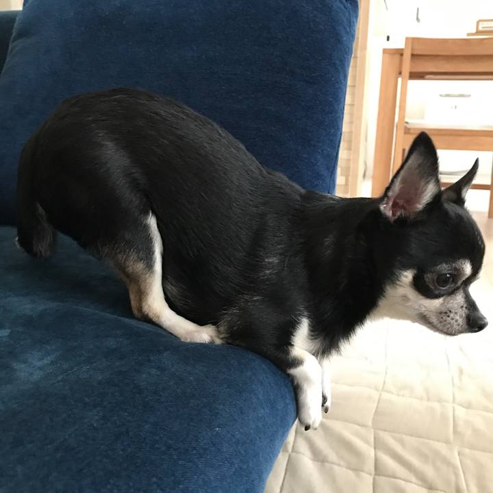 9ec4dcf0 d5c8 470a b031 45747e8397f7